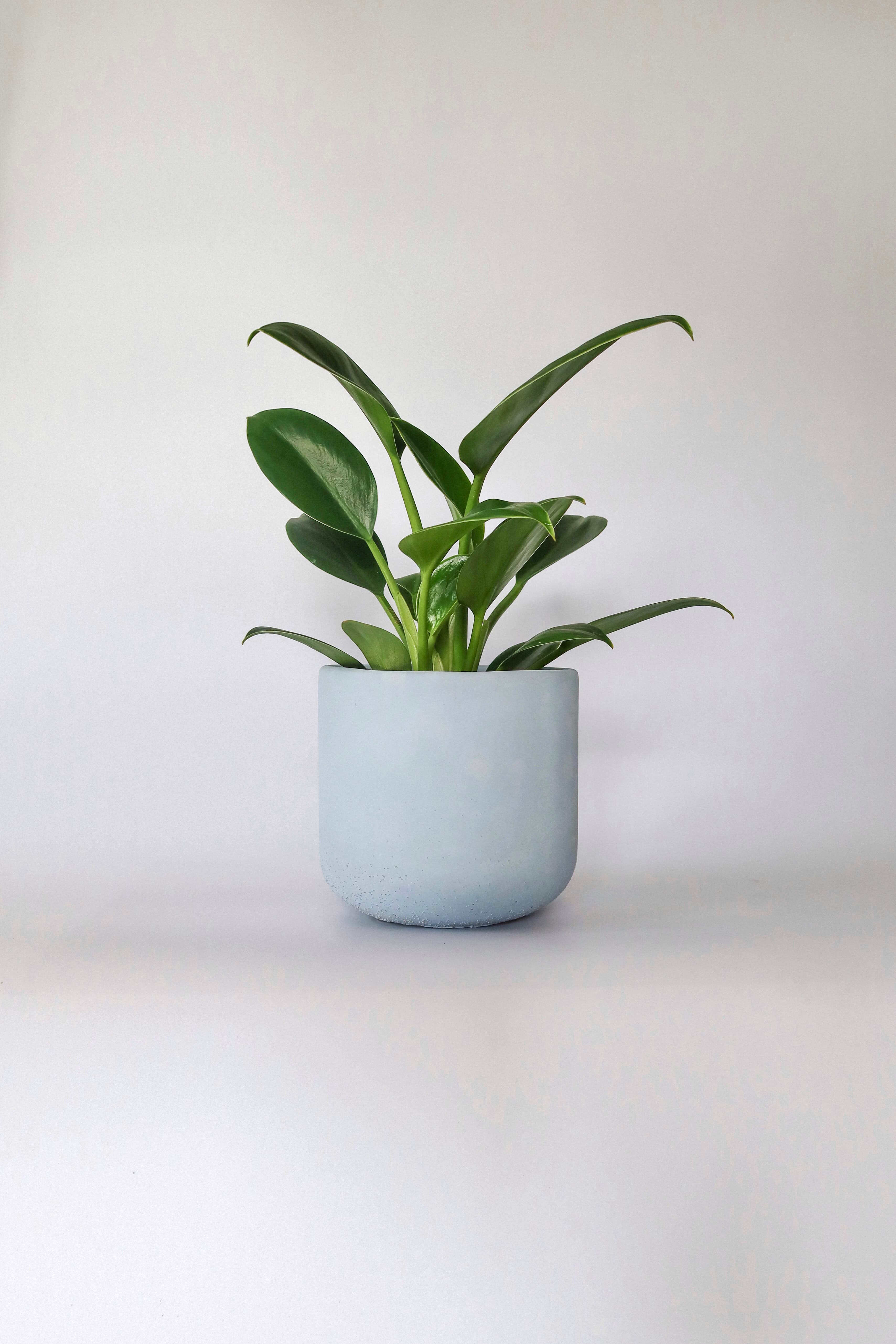 Osłonka betonowa Baby Blue — pastelowy błękit, handmade, premium